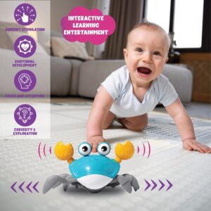 ToyMagic Dancing Crab|Crawling Crab|Electronic Moving Musical Toy