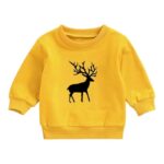 Cotton Blend Round Neck Full Sleeve Sweatshirt for Winter, for Boys and Girls
