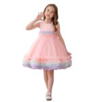 Niren Enterprise Fairy Tail Net Flared Sleeveless Ruffled Pattern Baby Girl Frock
