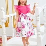 Niren Enterprise Girls Pink Robin Frock