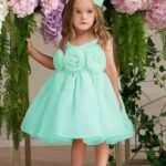 Niren Enterprise Gulab Solid Organza Sleeveless Flower Front Pattern Baby Girl Frock