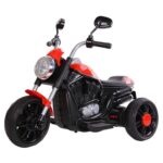 SHAKYA WORLD 3 Wheel Roadstar Bike