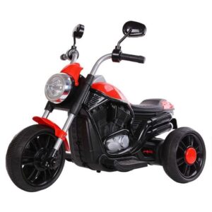 SHAKYA WORLD 3 Wheel Roadstar Bike