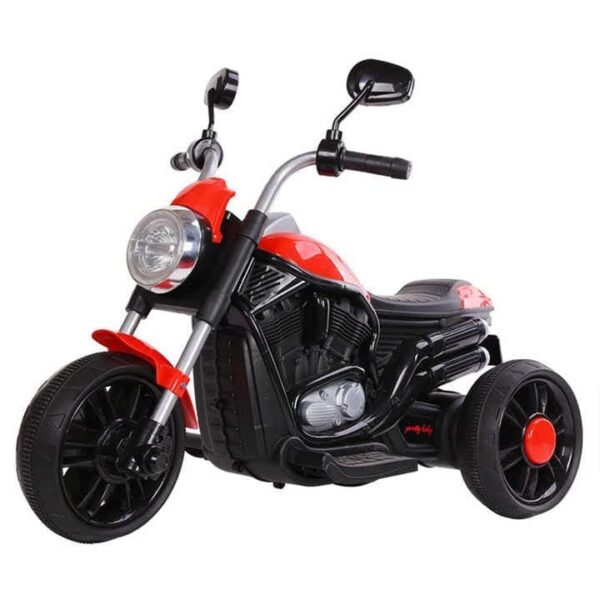 SHAKYA WORLD 3 Wheel Roadstar Bike