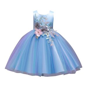 Hopscotch - Girls Knee-Length Polyester Sleeveless Floral Applique Party Dress