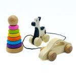 Zantva Handmade Wooden Toy Combo
