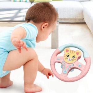 Aqify Steering Wheel Toy