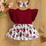 Niren Enterprise Girls FIREFINCH FROCK