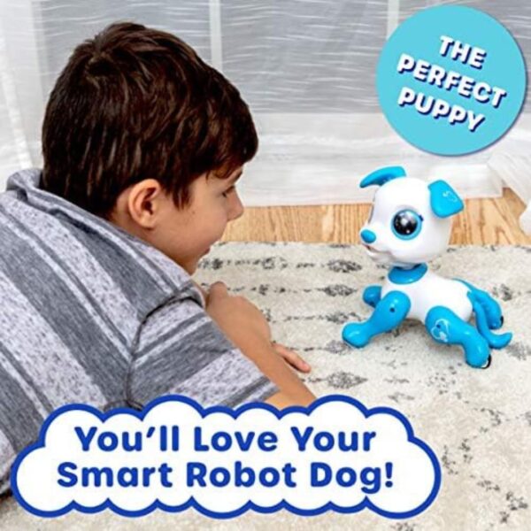 Turtle Bee | Toby The Robo Pet