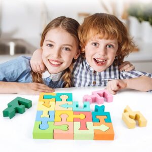 Vianz Wooden Shapes Linking Puzzle Game