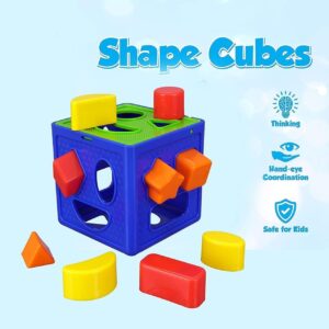 Sanghariyat® Shape Sorting Cube