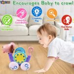 Toyshine Battery Operated Musical Dog with Rattle