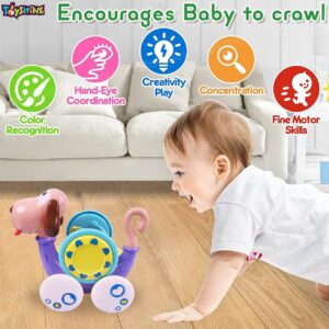 Toyshine Battery Operated Musical Dog with Rattle