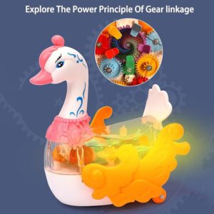 Jack Royal Transparent 3D Swan Toy