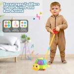 Zest 4 Toyz Pushing Toys for Kids Cord-Powered Push and Pull Along Turtle