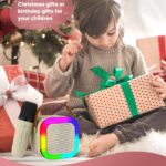 Storio Rechargeable Wireless Mini Portable Bluetooth Karaoke Machine