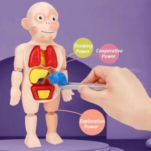 Kidology Anatomy Adventure 3D Puzzle