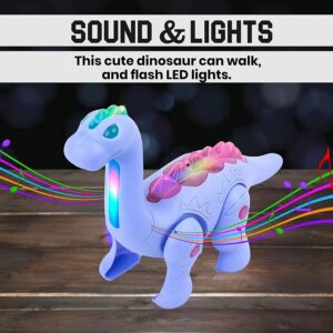 RKZ® Walking Dinosaurs Toy