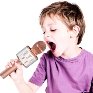 Amisha Gift Gallery Karaoke Mic with Speaker Bluetooth
