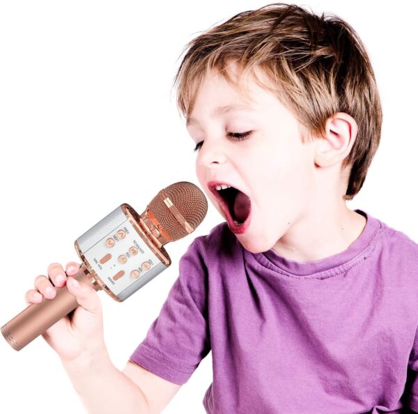 Amisha Gift Gallery Karaoke Mic with Speaker Bluetooth