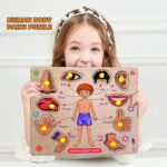 Lefan Body Part Puzzle Kids Wooden Toys for Kids