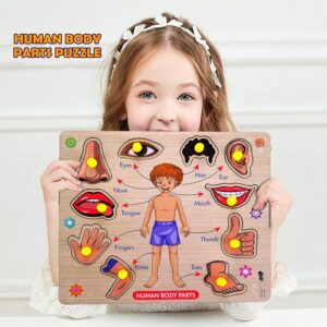 Lefan Body Part Puzzle Kids Wooden Toys for Kids