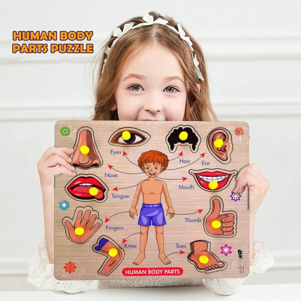 Lefan Body Part Puzzle Kids Wooden Toys for Kids
