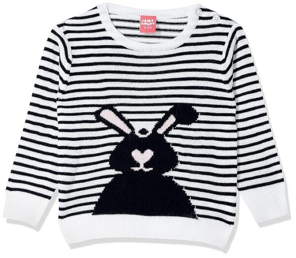 Jam & Honey Girl's Baby- Acrylic Round Neck Casual Sweater