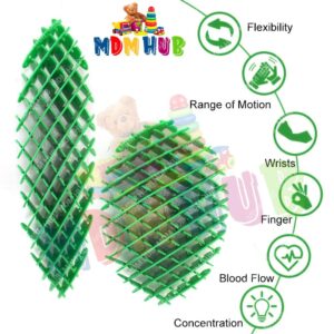MDM HUB (1-Piece) Fidget Worm Toy