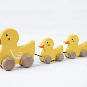 ToyArtsy Wooden Pull Along Toy