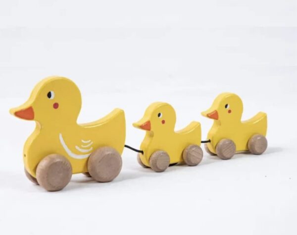 ToyArtsy Wooden Pull Along Toy