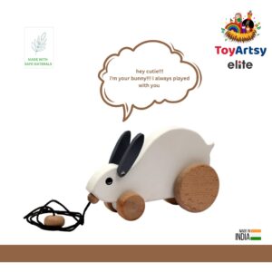 TOYARTSY Wooden Pull Along Toy