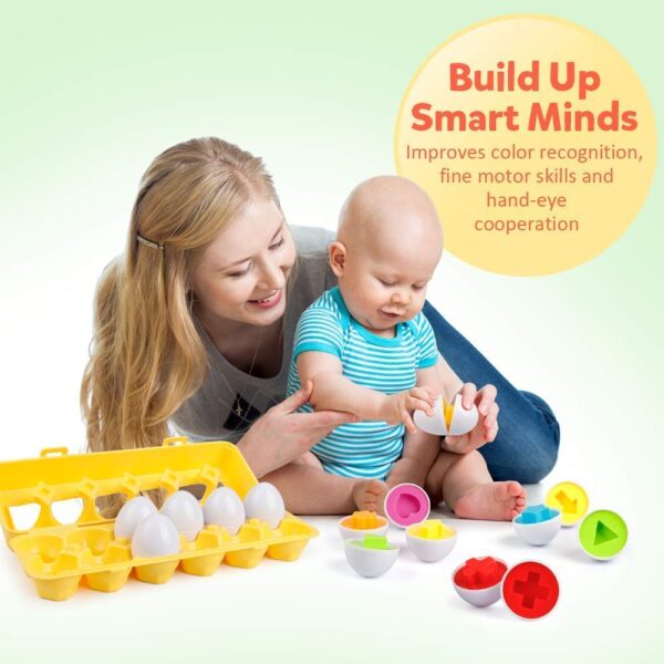 SHAKTISM Eggs Shapes Matching Puzzle