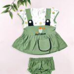 Baby Girl Frock and Panty Set