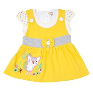 Baby Girl's A-Line Mini Frock Dress