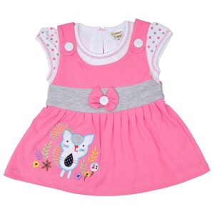 Baby Girl's A-Line Mini Frock Dress