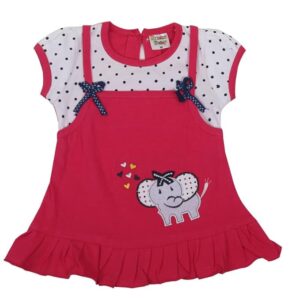 Baby Girl's A-Line Mini Frock Dress