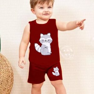 Boy's T-shirt & Shorts Set