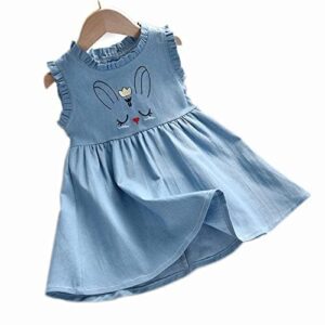 Cotton Denim Casual Frocks Dress