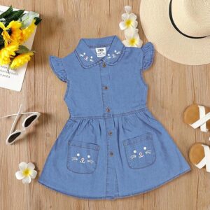 Cotton Denim Shift Dress Frock