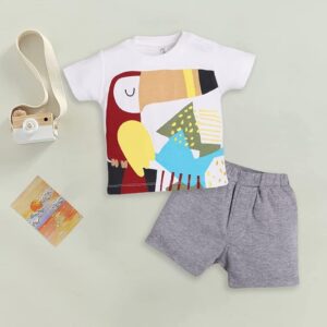 Pure Cotton T-shirt and Shorts Set for Baby Boys