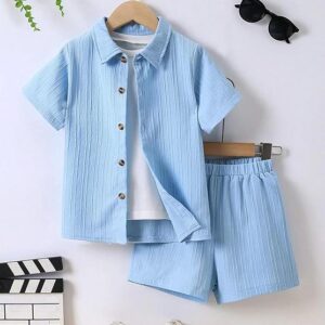 Short Sleeve Regular Wear Shirt & Shorts Set