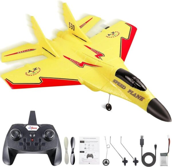 Amitasha RC Airplane Jet Epp Foam RC Aircraft