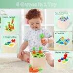BLiSS HUES 5-in-1 Wooden Montessori Play set