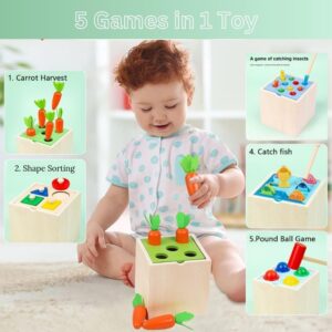 BLiSS HUES 5-in-1 Wooden Montessori Play set