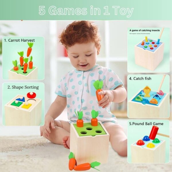 BLiSS HUES 5-in-1 Wooden Montessori Play set