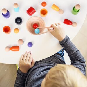 ANVIE & ABEER® Wooden Colour Sorting Toys