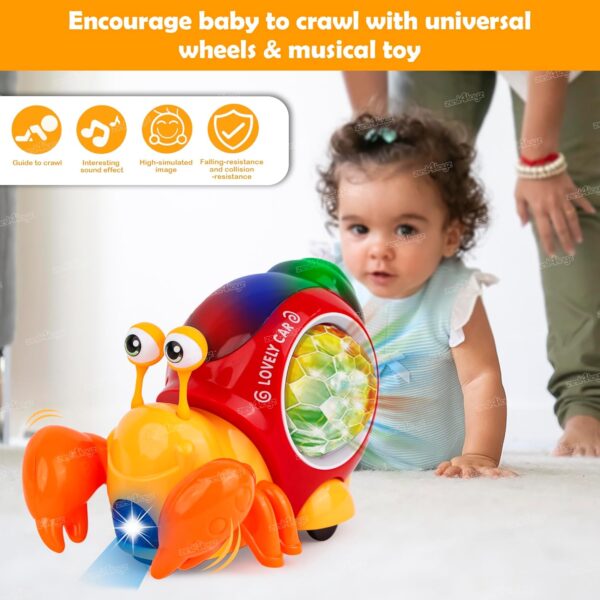 Zest 4 Toyz Musical Toys for Babies