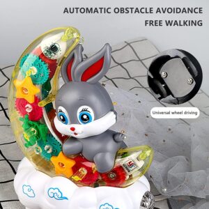 Goyal's Transparent Gear Moon Rabbit Toy