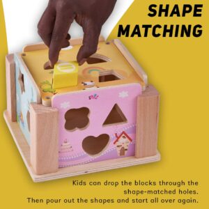 BAYBEE Wooden Colorful Intellingence Box Toys for Kids